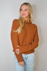Cinnamon Dolce Sweater